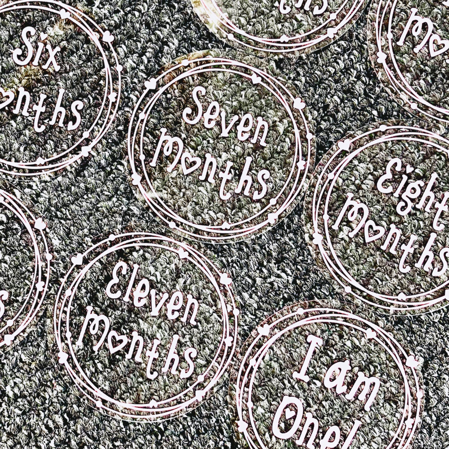 Baby Milestone Discs