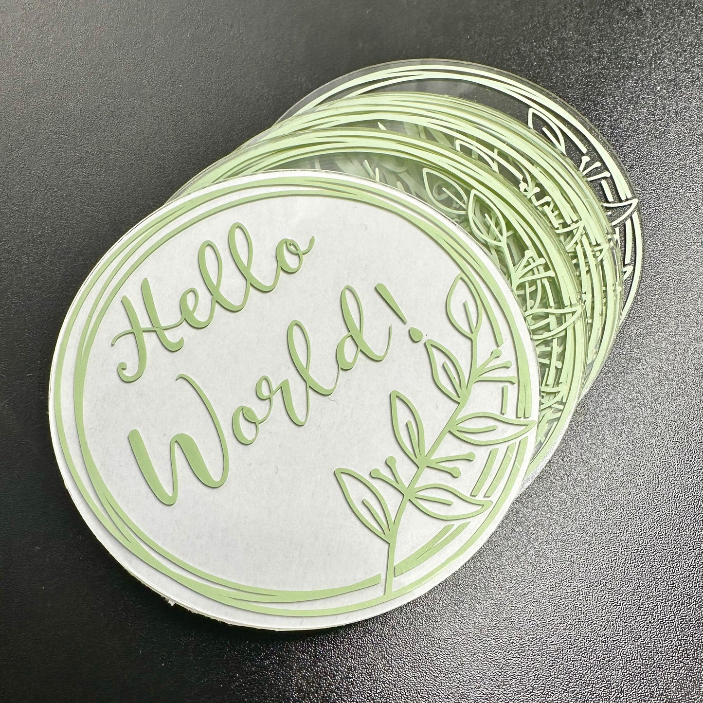 Baby Milestone Discs